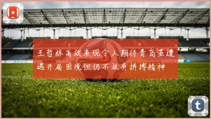 王哲林高效表现令人期待青岛虽遭遇开局困境但仍不放弃拼搏精神